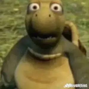 Meet your Posher, Jayda